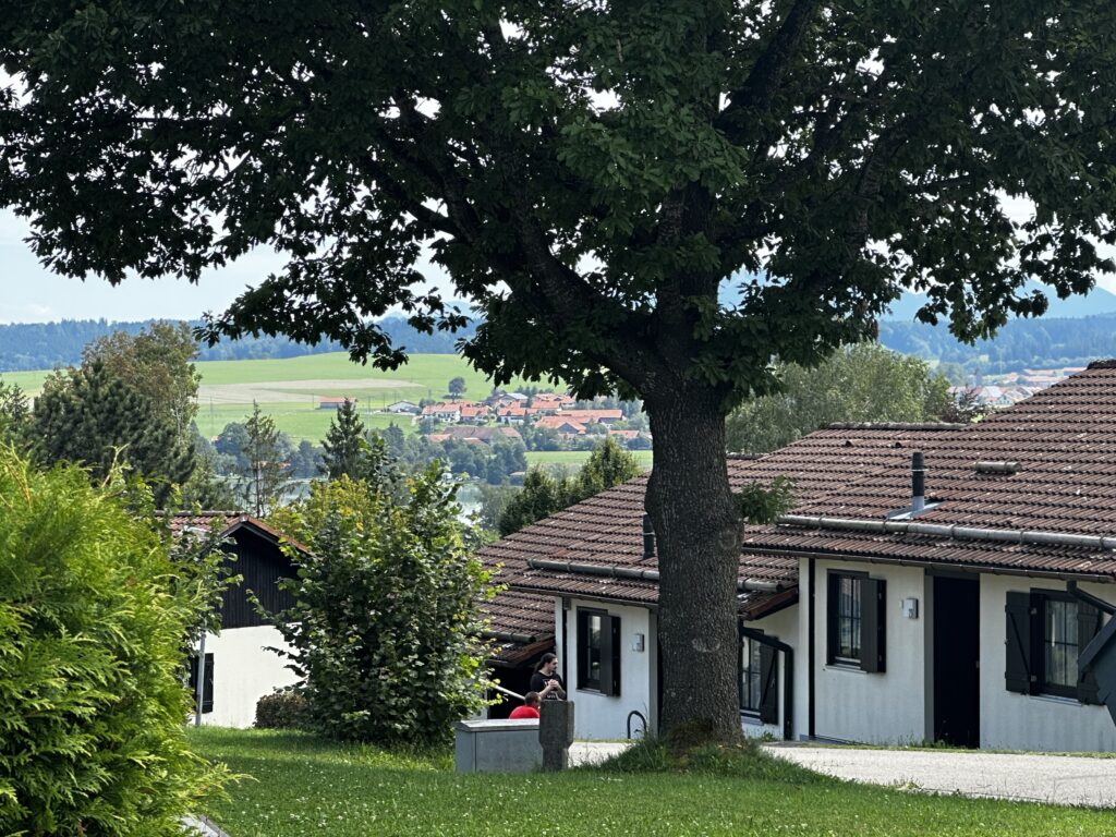Aussicht vom Ferienhaus auf die umliegende Berglandschaft